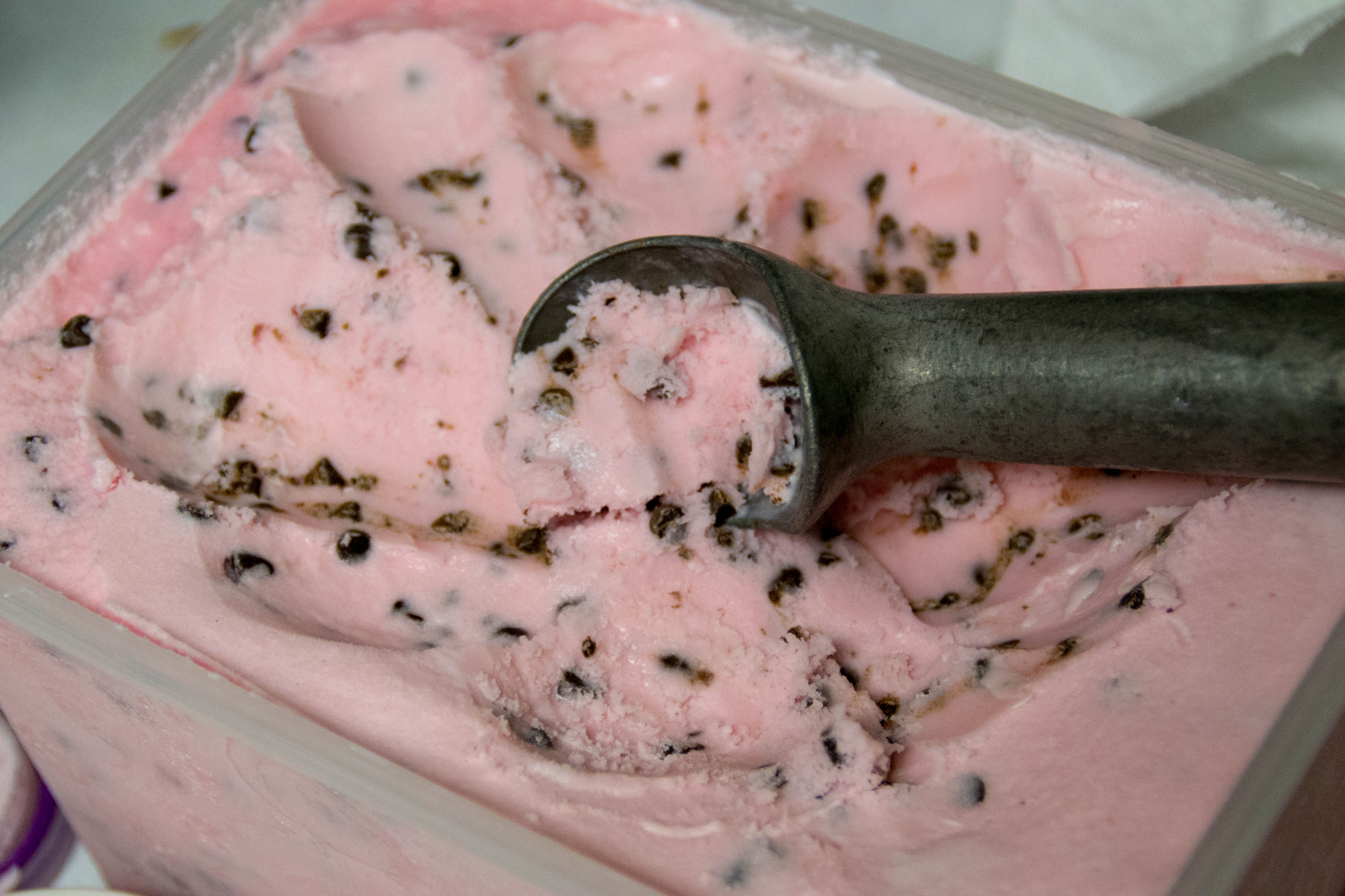 Abi Stormberg | Crumbs