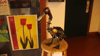 Nurainy Darono | Argonaut