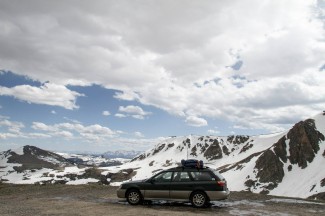 Roxanne by Cy Whitling