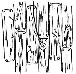 Shane Wellner | Rawr