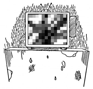 Shane Wellner | Rawr