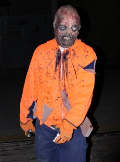 IMG_0684111_Scarywood1