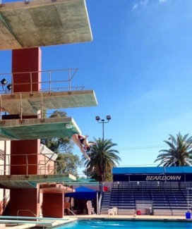 Omar Ojeda | Courtesy Former Idaho diver Paige Hunt dives Feb. 16 at the University of Arizona. Hunt is training in Arizona in pursuit of competing in the Olympics.