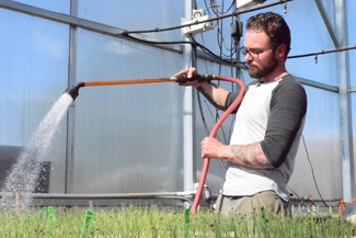 Jake Smith | Argonaut Adam Reed, a local organic farmer, works in his 200 square-foot greenhouse two miles from Moscow. Reed provides safe, sustainable, organic vegetables for local restaurants. Excluding the greenhouse he works in from time to time, Reed owns two farms. His most recent 30-acre addition, Victory Farm, is named after World-War-II-era victory gardens. Victory Farm is a way for Reed to answer the call against a food war waged by conventional agricultural techniques.
