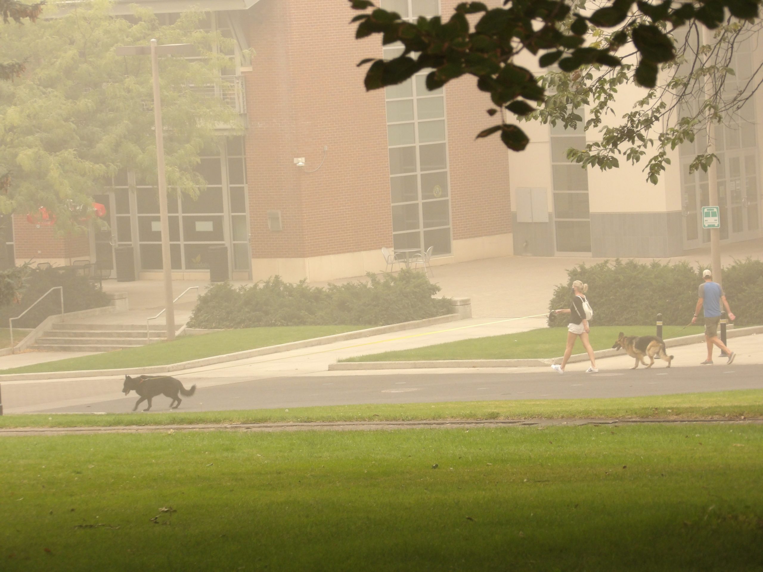 The Argonaut Poor Air Quality Prompts Moscow Pullman Area Schools To Close