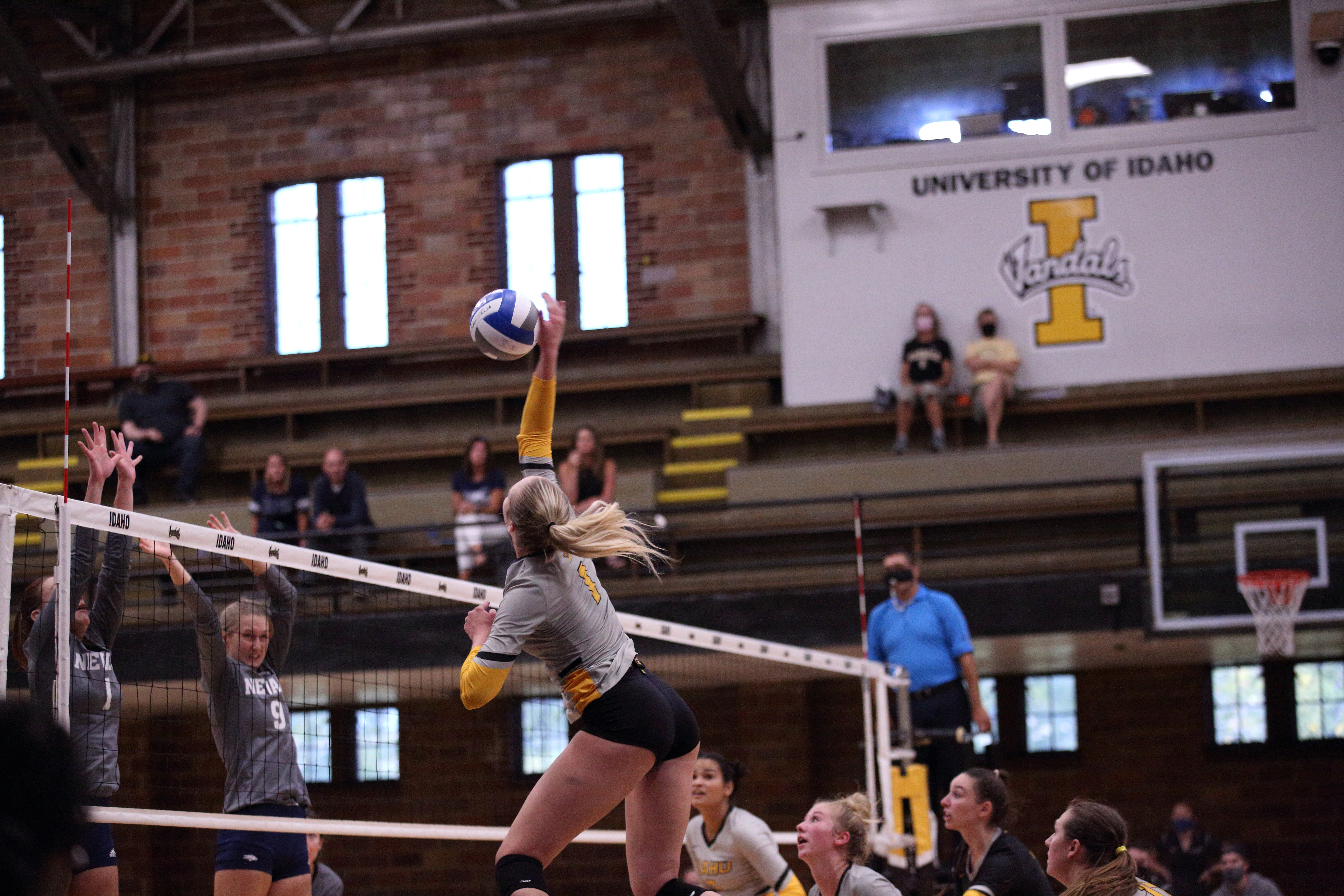 Sophomore outside hitter Delaney Nicoll hits the ball against University of Nevada in Memorial Gym. Joclynn Howell | Argonaut