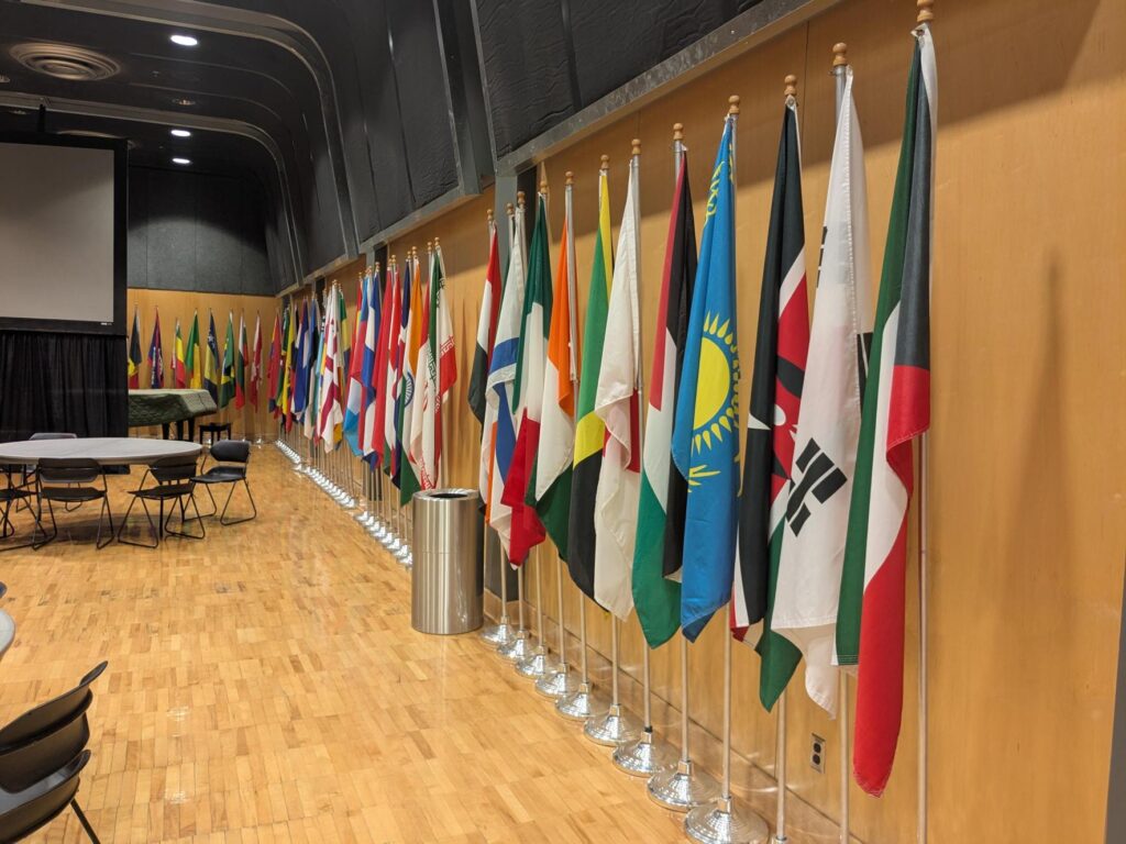 International student enrollment down 50%