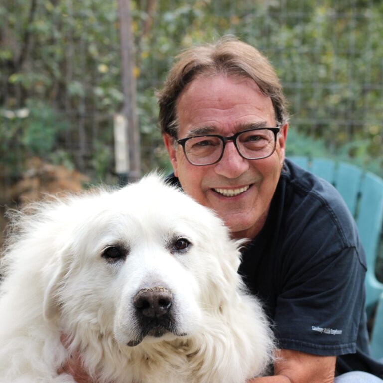 City Council Candidate Profile: Steve Bonnar emphasizes housing and safety in Moscow City Council race 