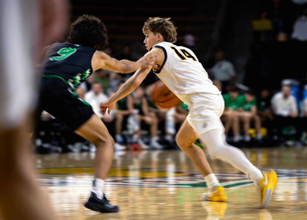 Idaho holds off South Dakota State in high scoring road battle 