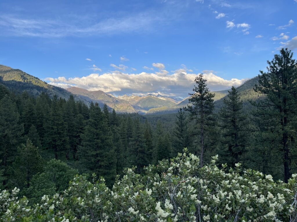 Idaho senator proposes constitutional amendment to protect public lands 