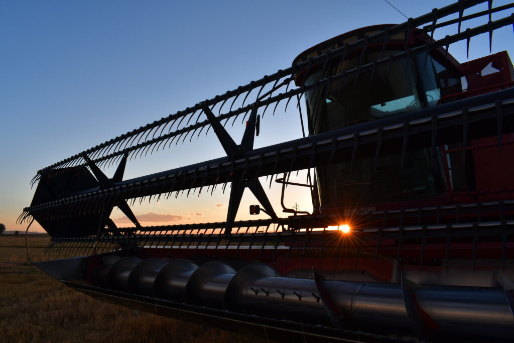 Idaho introduces six new bills on the collection of immigration status  