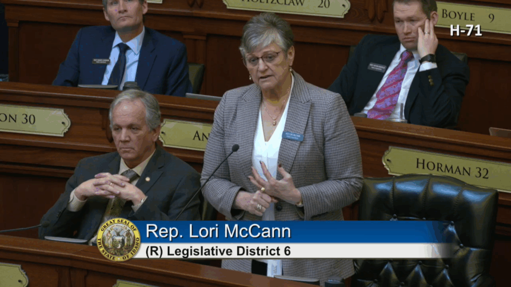 Local Idaho Representative Lori McCann announces her run for Idaho Senate  